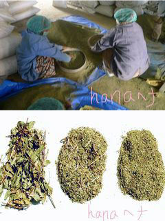 ハナヘナは手選別で葉っぱだけに分けられる