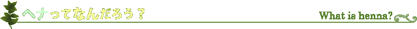 ヘナってなんだろう？